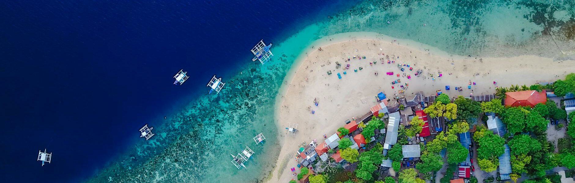 aerial view of a shore and body of water